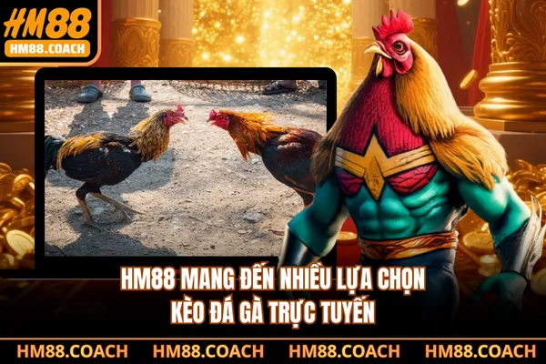 HM88 mang đến nhiều lựa chọn kèo đá gà trực tuyến